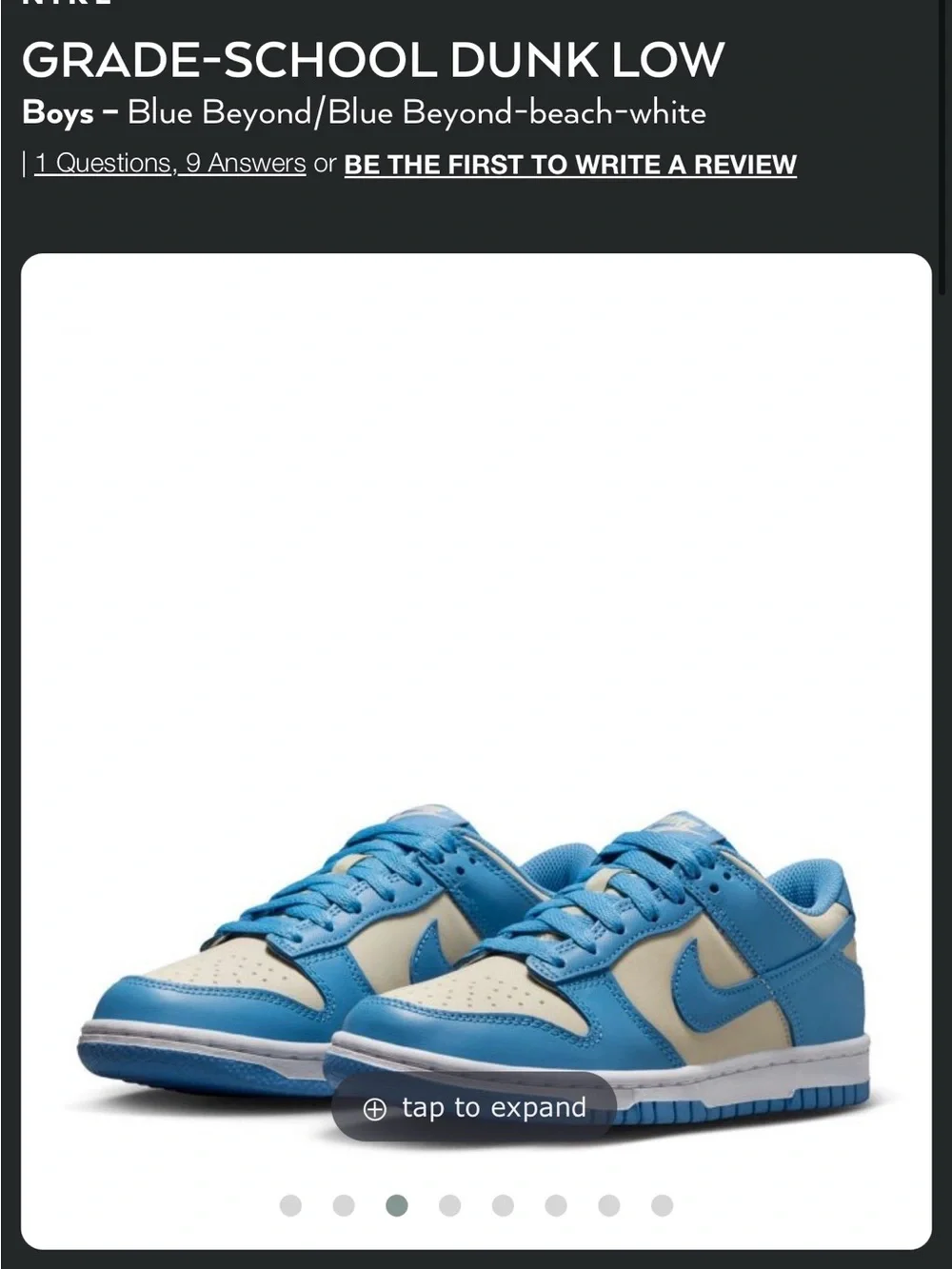 Nike Grade-School Low Dunk - Blue Beyond (Y3)